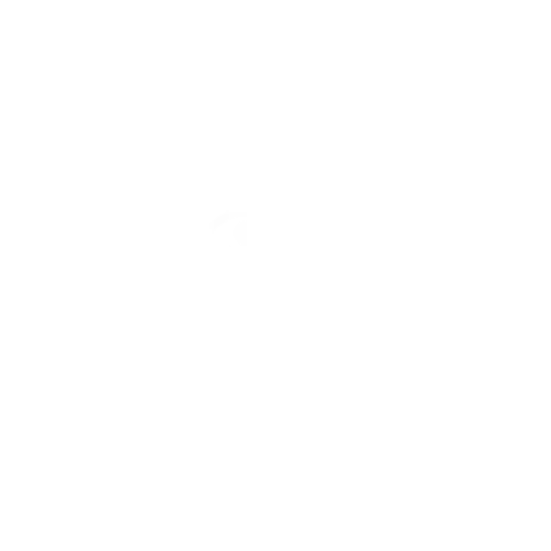Instituto 2P